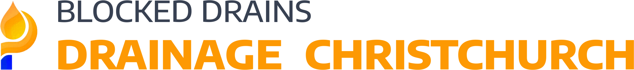 website logo